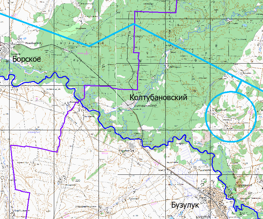 Бузулукский бор карта кварталов
